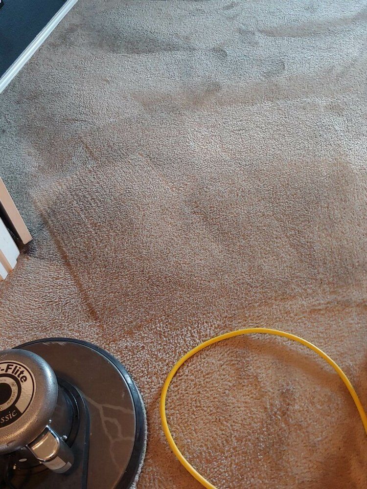 Clean Carpet — Mansfield, TX — Apex Cleaning Concepts LLC