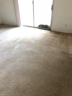 Clean Carpet Floor  — Mansfield, TX — Apex Cleaning Concepts LLC