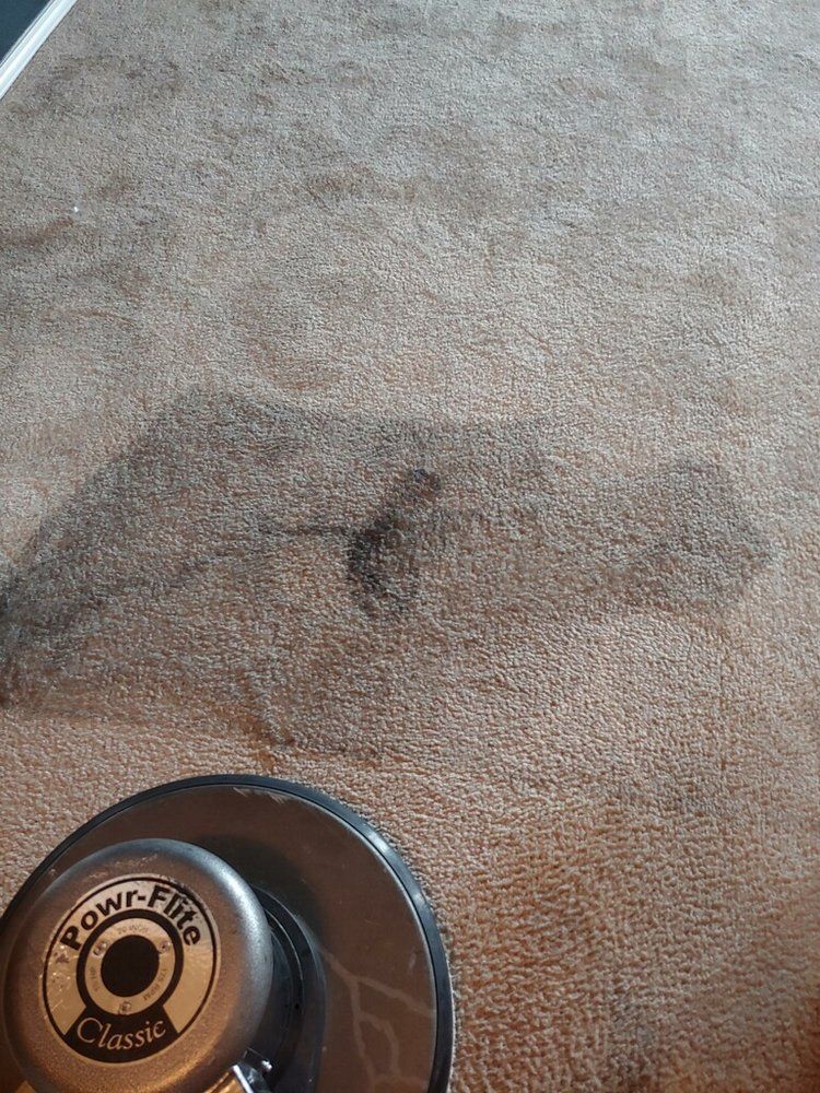 Dirty Carpet — Mansfield, TX — Apex Cleaning Concepts LLC