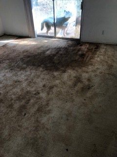 Dirty Carpet Floor  — Mansfield, TX — Apex Cleaning Concepts LLC