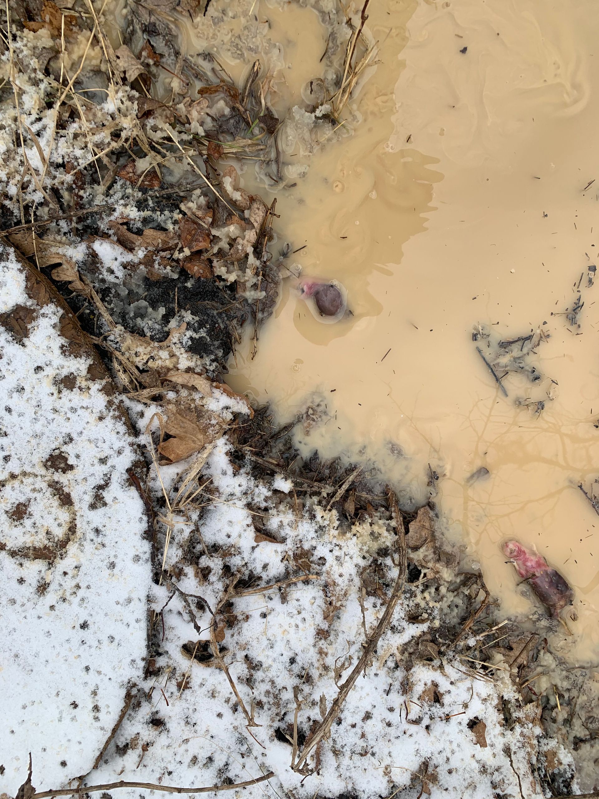 well cleaning winnipeg