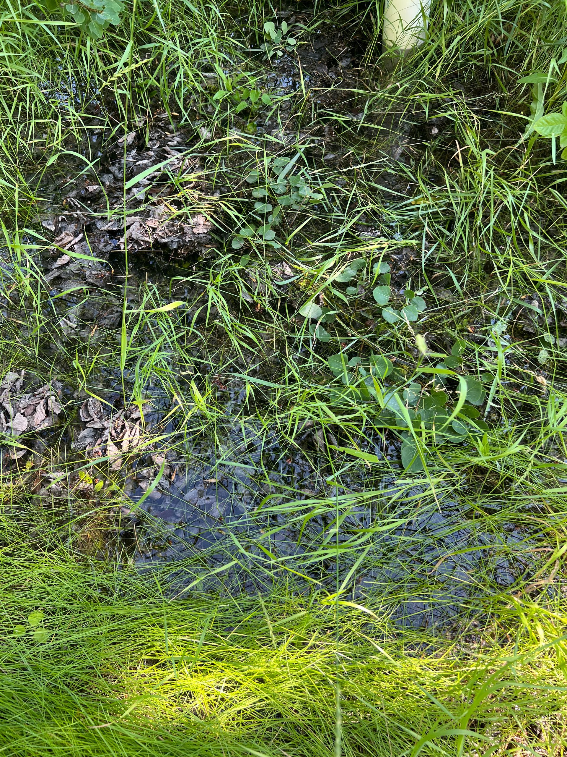 water leak repair from well springfield manitoba