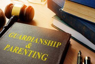 General Civil Litigation Trials Guardianship and Parenting Book — in Arlington, TX
