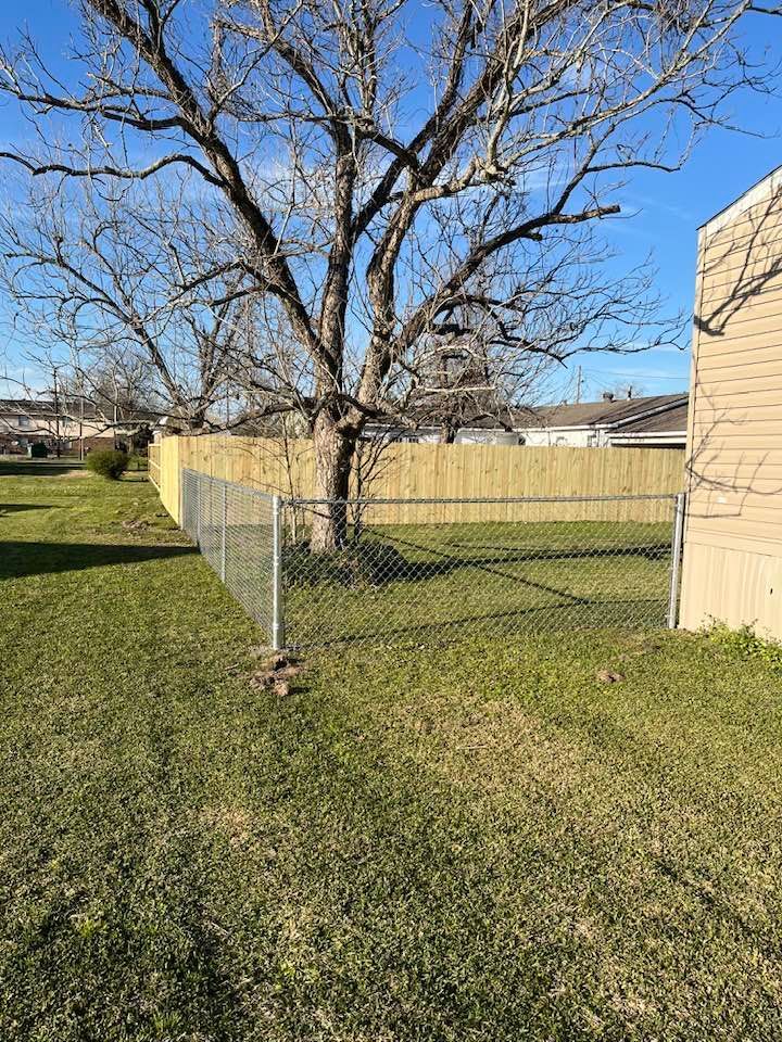 Chain-link fence in backyard, next to tree. Yellow wood fence in the distance. Green grass, blue sky.