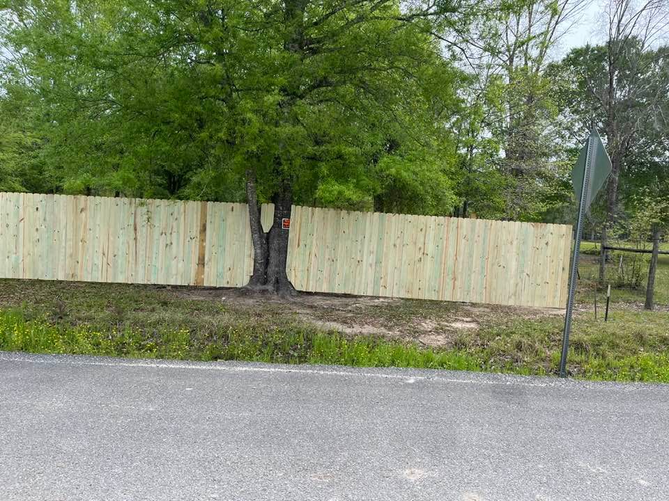 A newly built light wood fence surrounds a tree along a roadside.