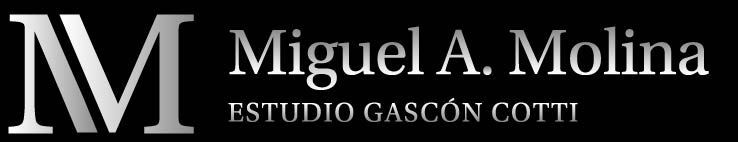 MIGUEL ANGEL MOLINA LOGO
