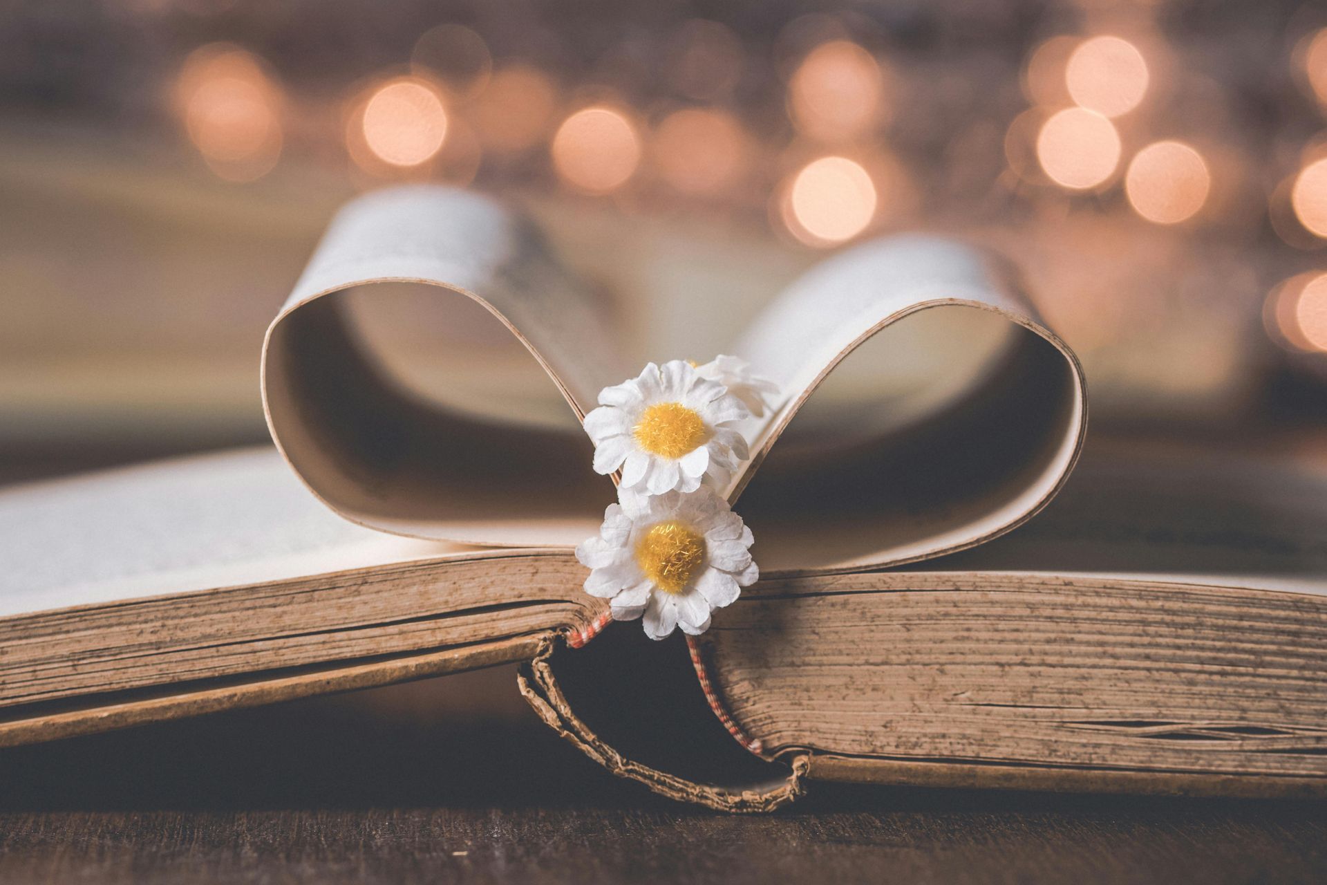 Book opened to the middle with center pages folded towards each other in the shape of a heart. 