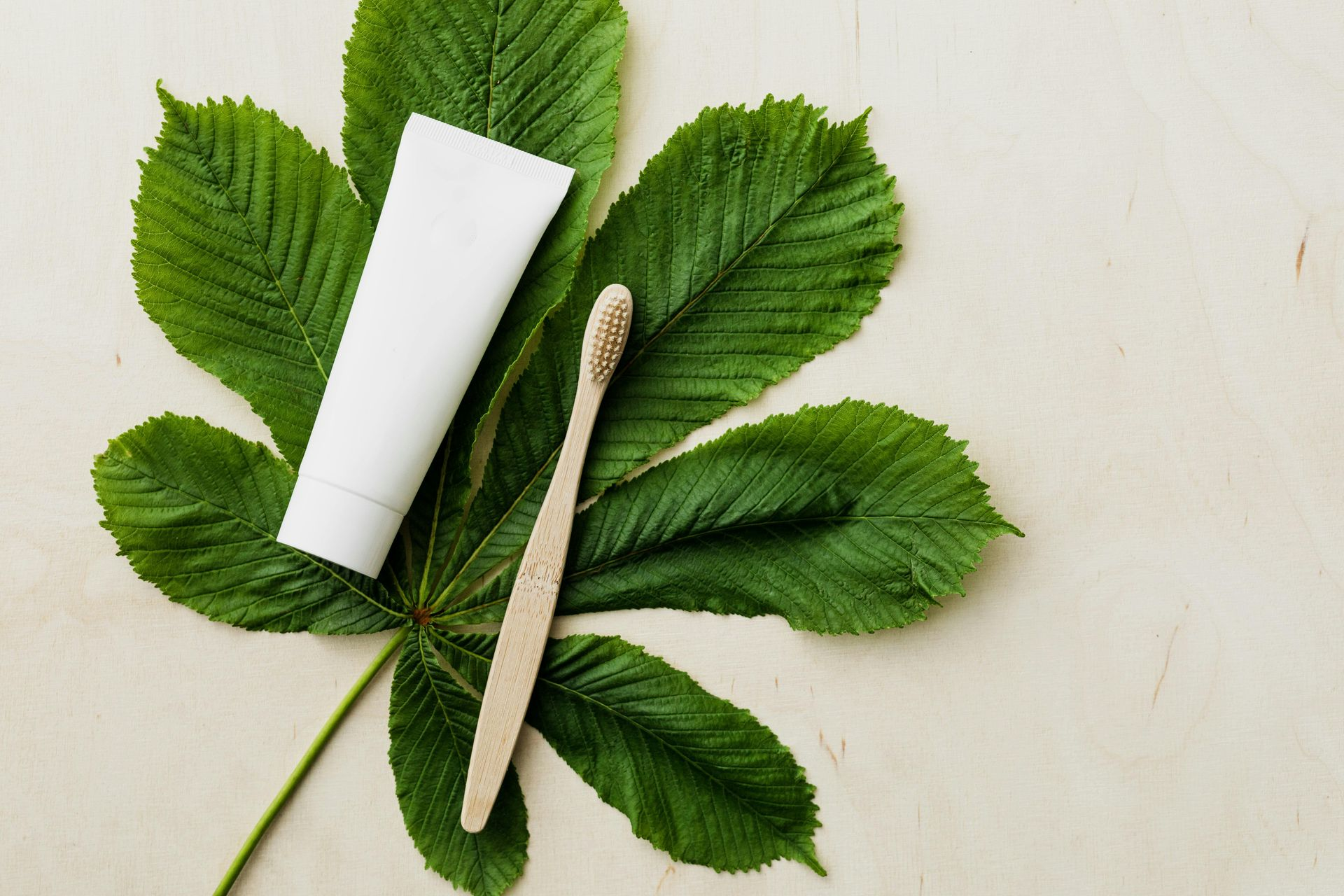 white tube of tooth paste next to a wooden toothbrush, both laying over a green leaf. 