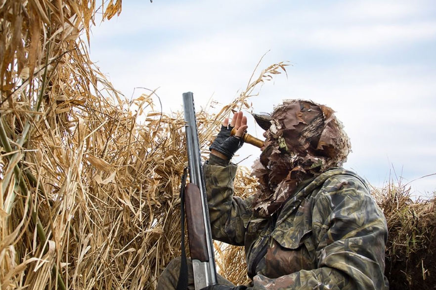 Camouflaged hunter with shotgun calling a duck beside tall reeds under a cloudy sky