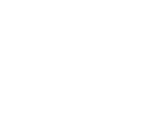 Imagen blanca en blanco.