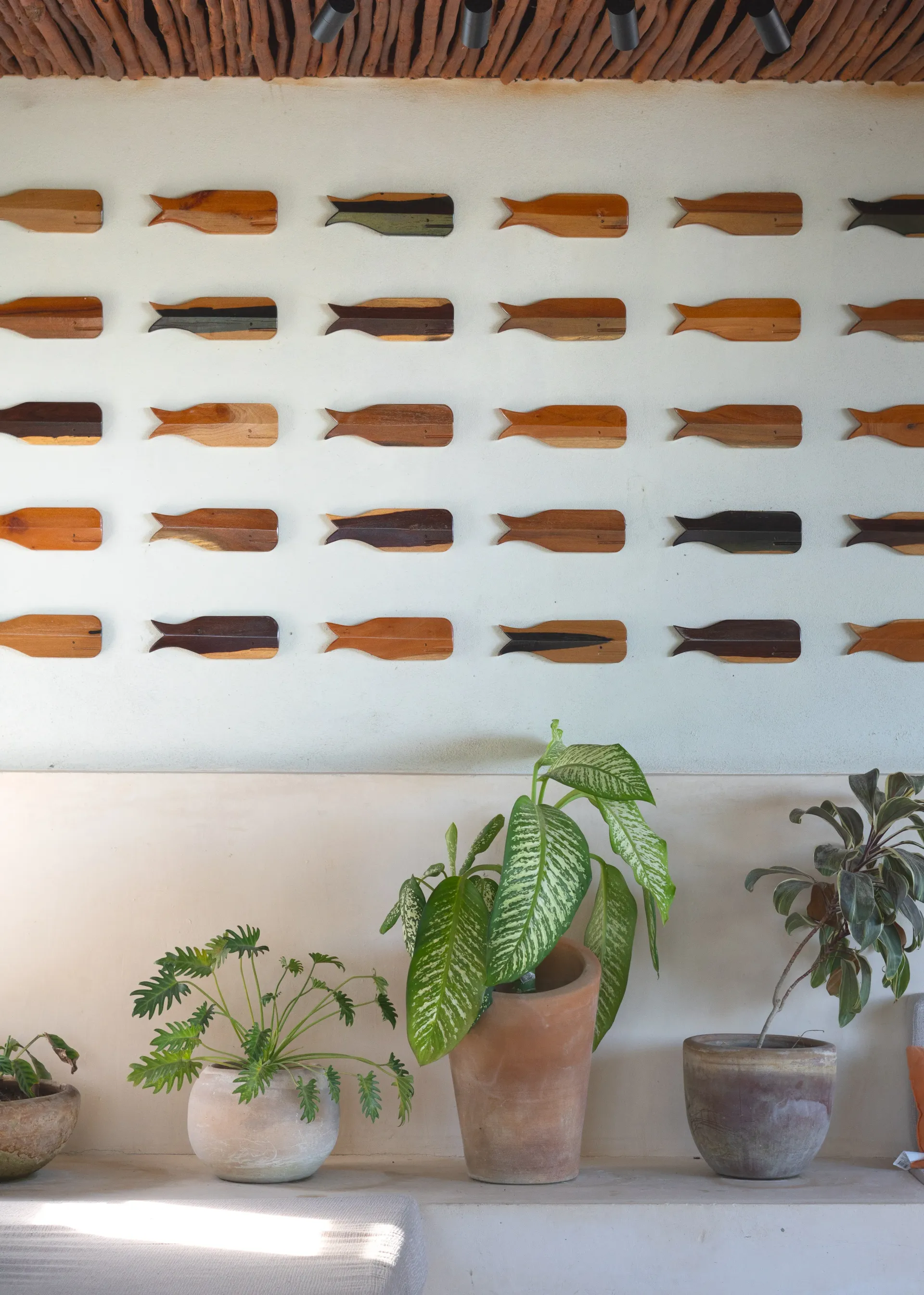 Pared con hileras de objetos decorativos colgantes sobre tres plantas en macetas colocadas en un estante.