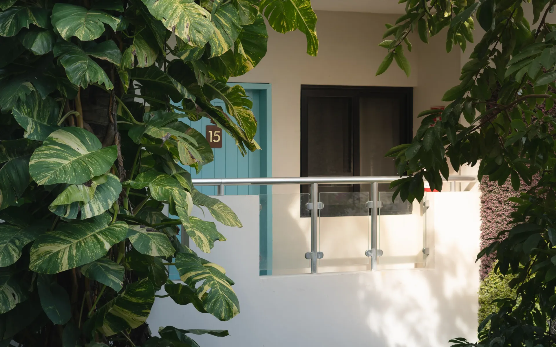 Balcón con barandilla blanca y puertas correderas, enmarcado por una densa vegetación.