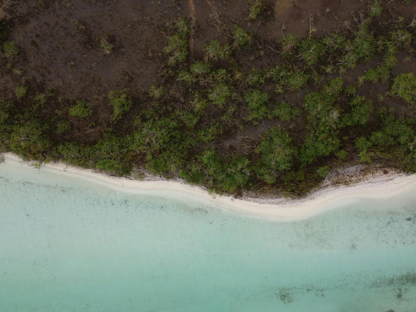 Vista aérea de una playa tropical con aguas turquesas, arena blanca y un denso bosque verde.