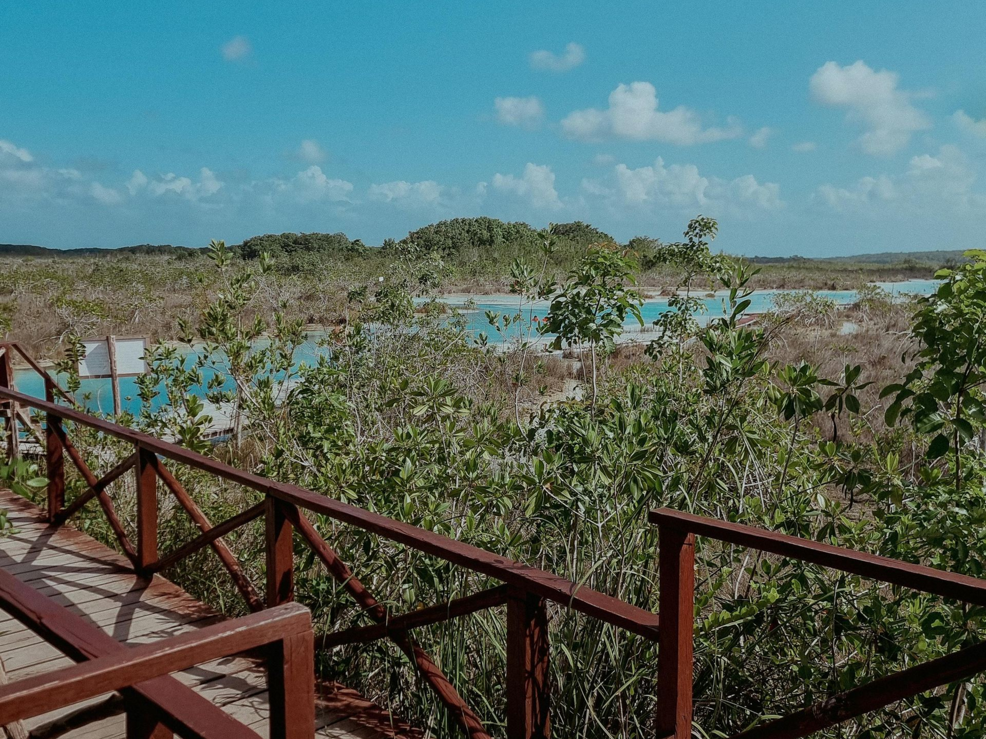 Paseo marítimo de madera con vistas a un humedal costero con arbustos, agua azul y un cielo parcialmente nublado.