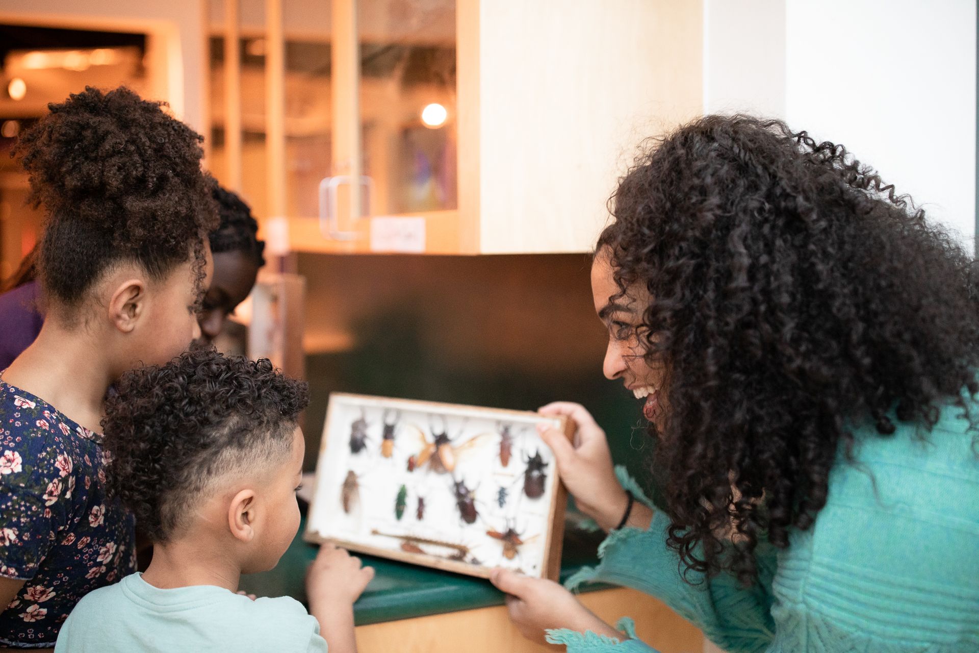 A mother showing her children framed insects