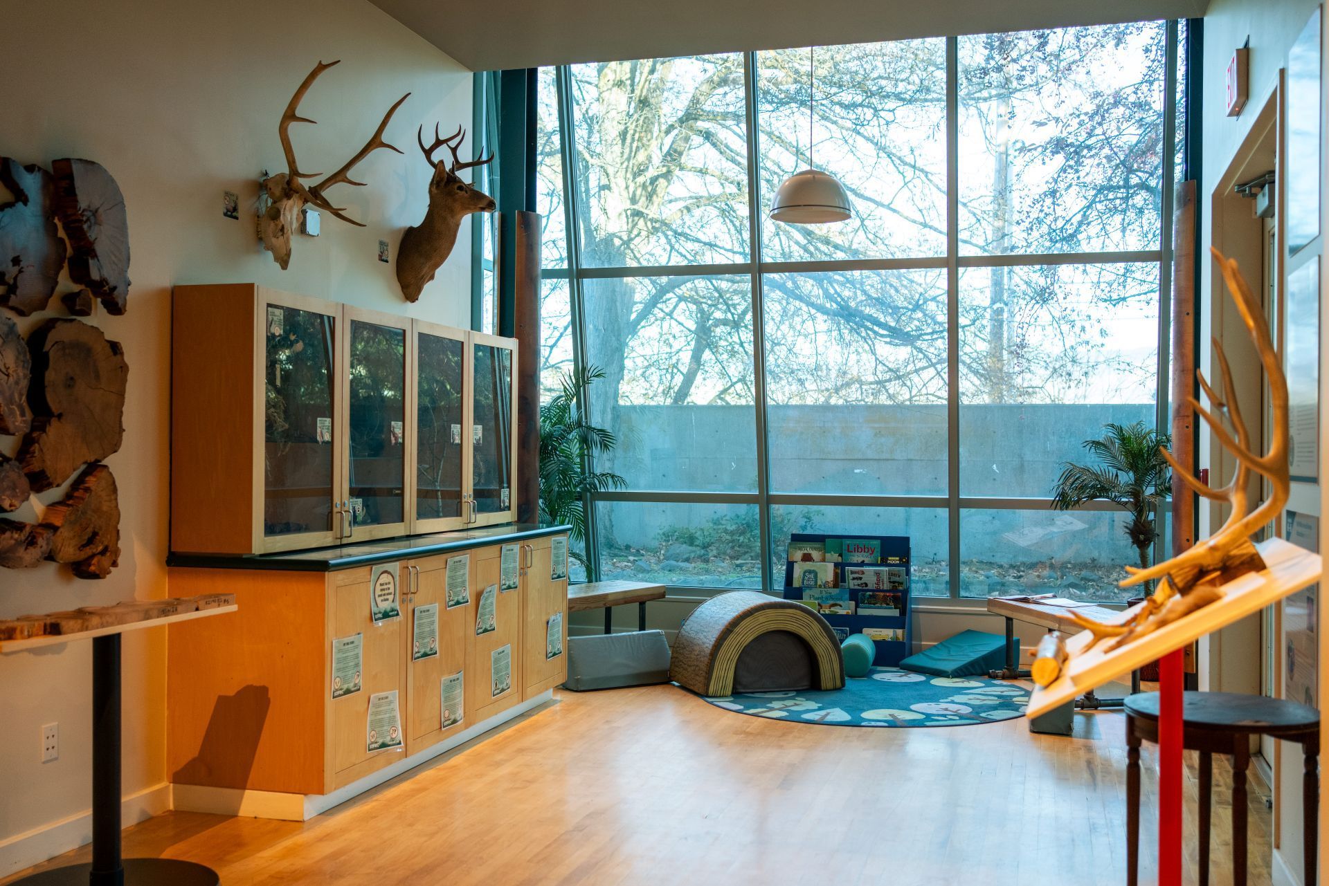 A well-lit room with large windows, display cases, deer antlers, and a small play area.