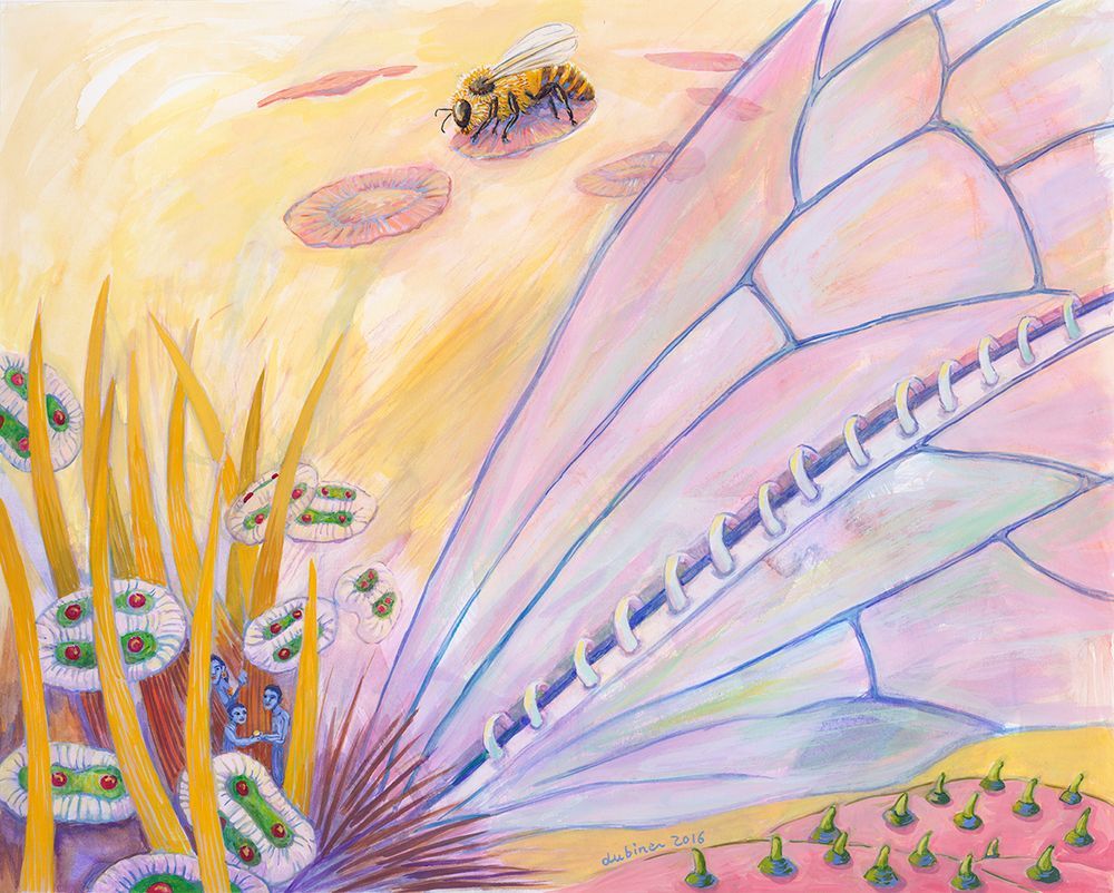 Shoshanah Dubiner Art