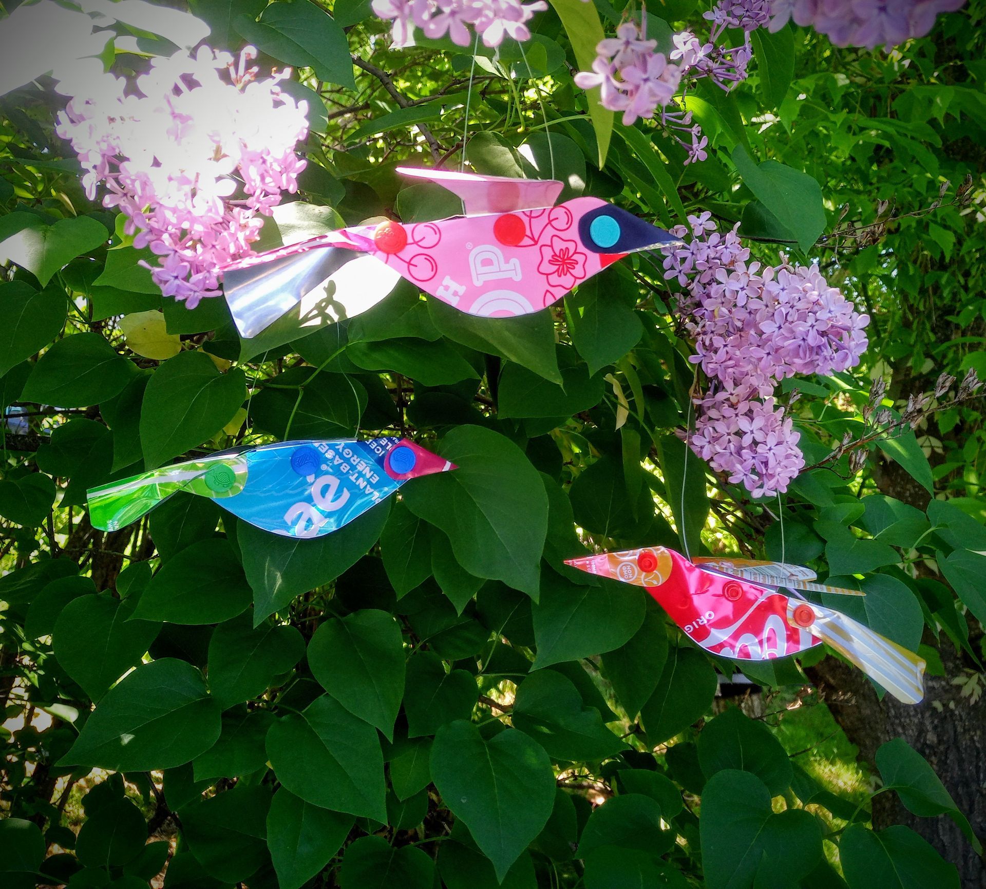Fish Ornaments by Kailey Ousley