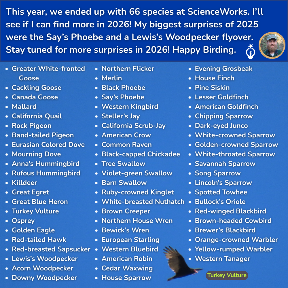 Text listing 66 bird species at ScienceWorks, with Nate's photo and a flying turkey vulture.