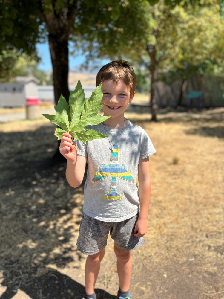Boy holding large green leaf, smiling. Outdoors, sunny day, trees in background.