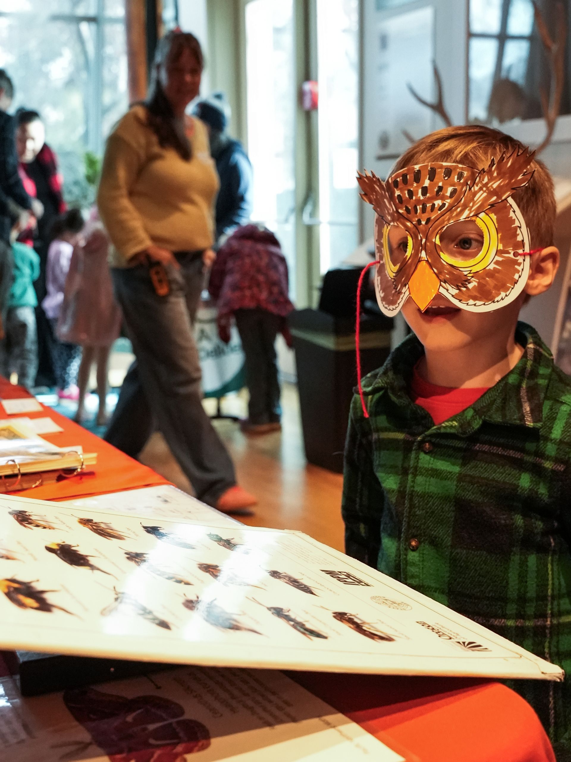 Boy wearing owl mask, looking at display with bird illustrations. Other people in background at ScienceWorks.