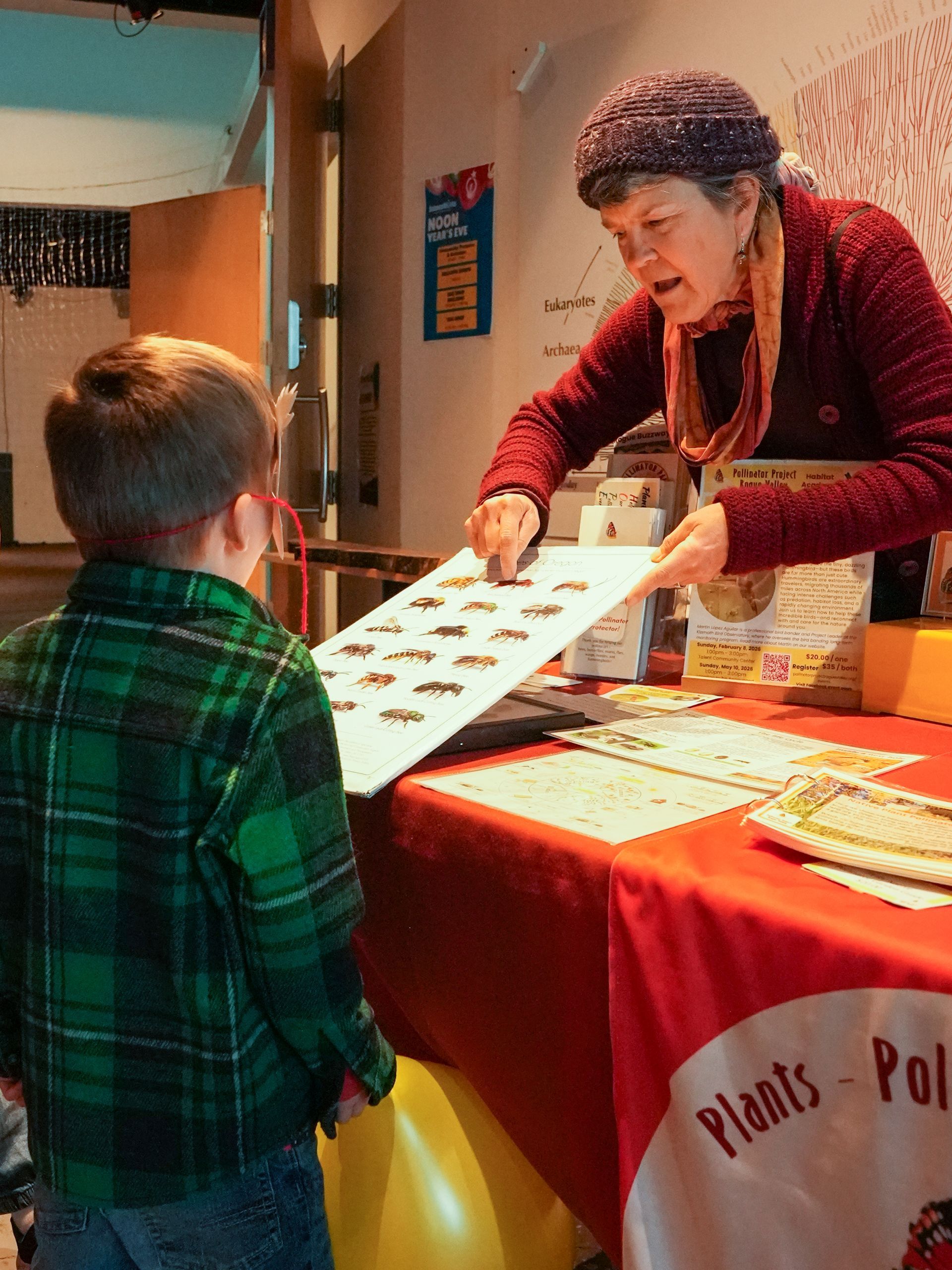 Woman showing insect cards to a child at a table with a 