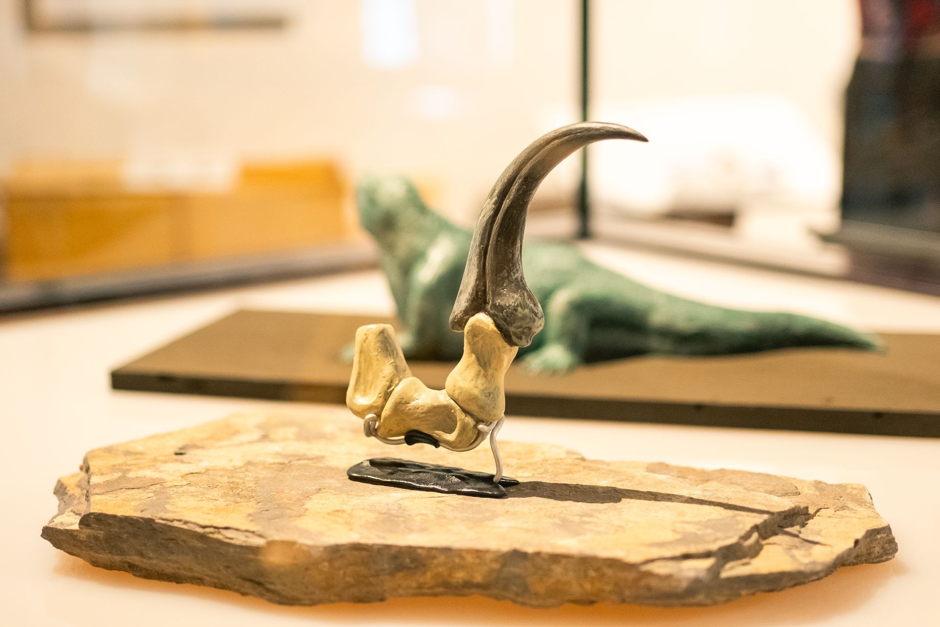 A photo of the Paleoart Through Time exhibit at ScienceWorks Museum in Ashland, Oregon.