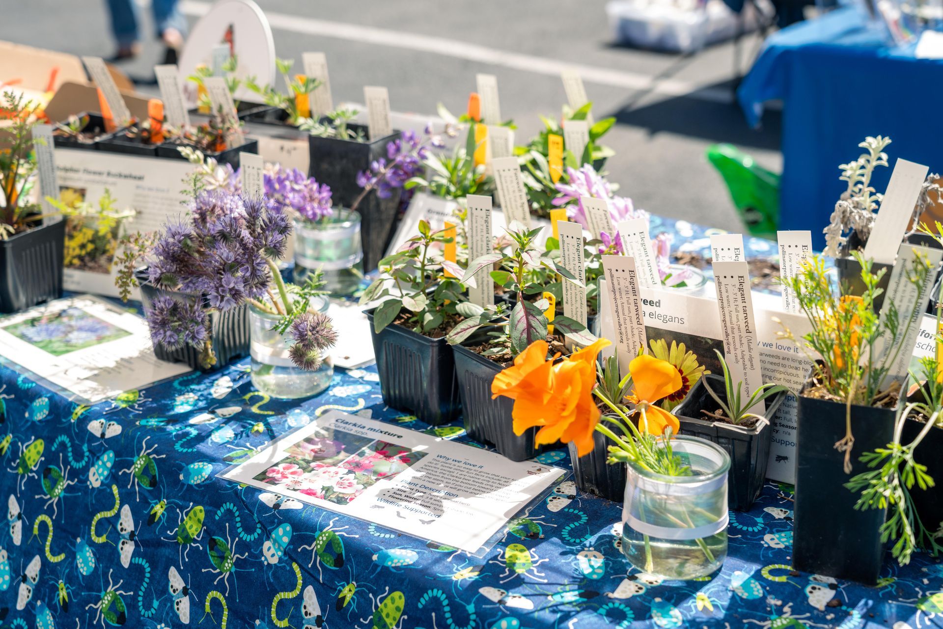 Flower bouquets and potted plants displayed on a blue floral market tablecloth outdoors