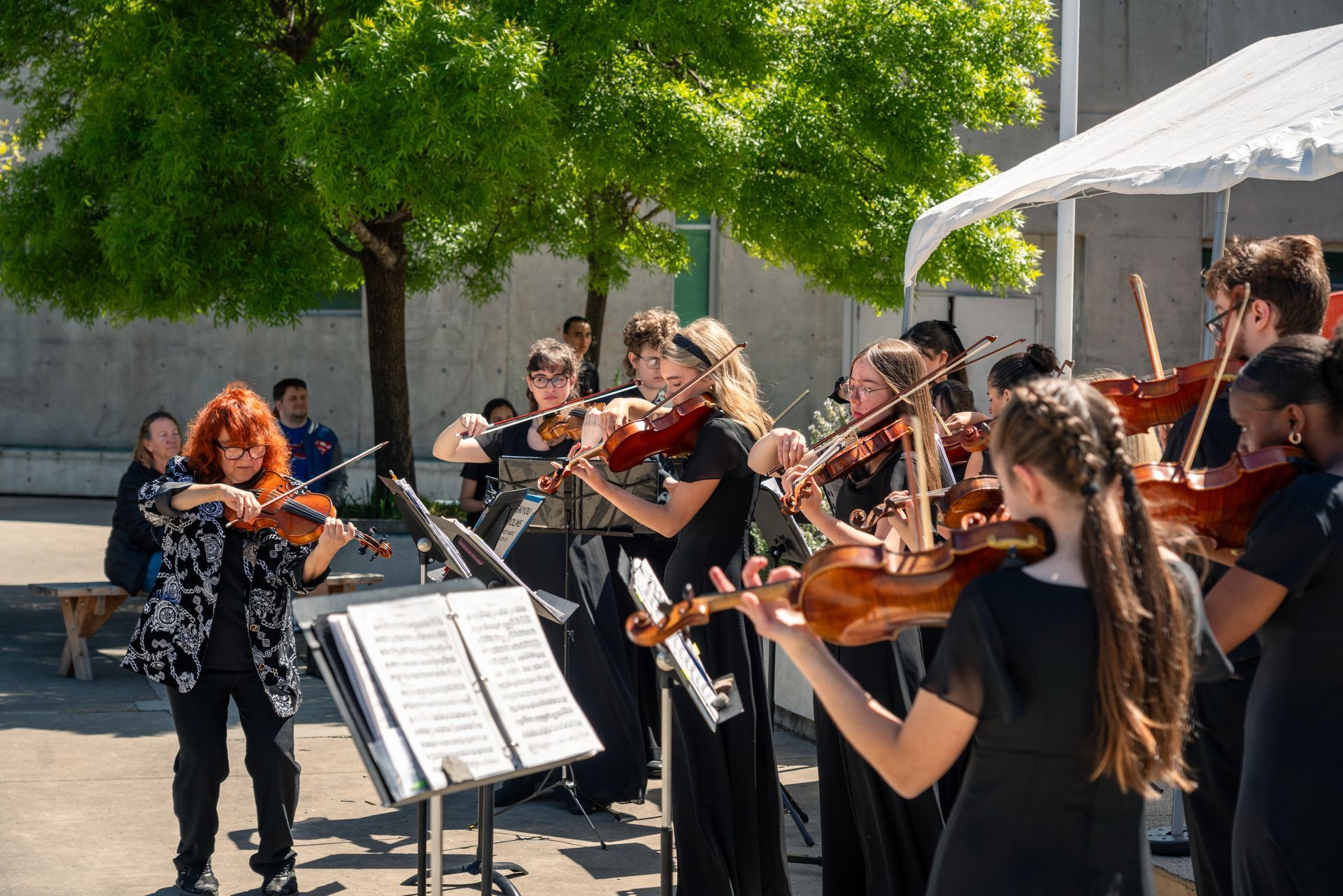 Outdoor string ensemble performing under trees, with a conductor leading musicians beside a tent.