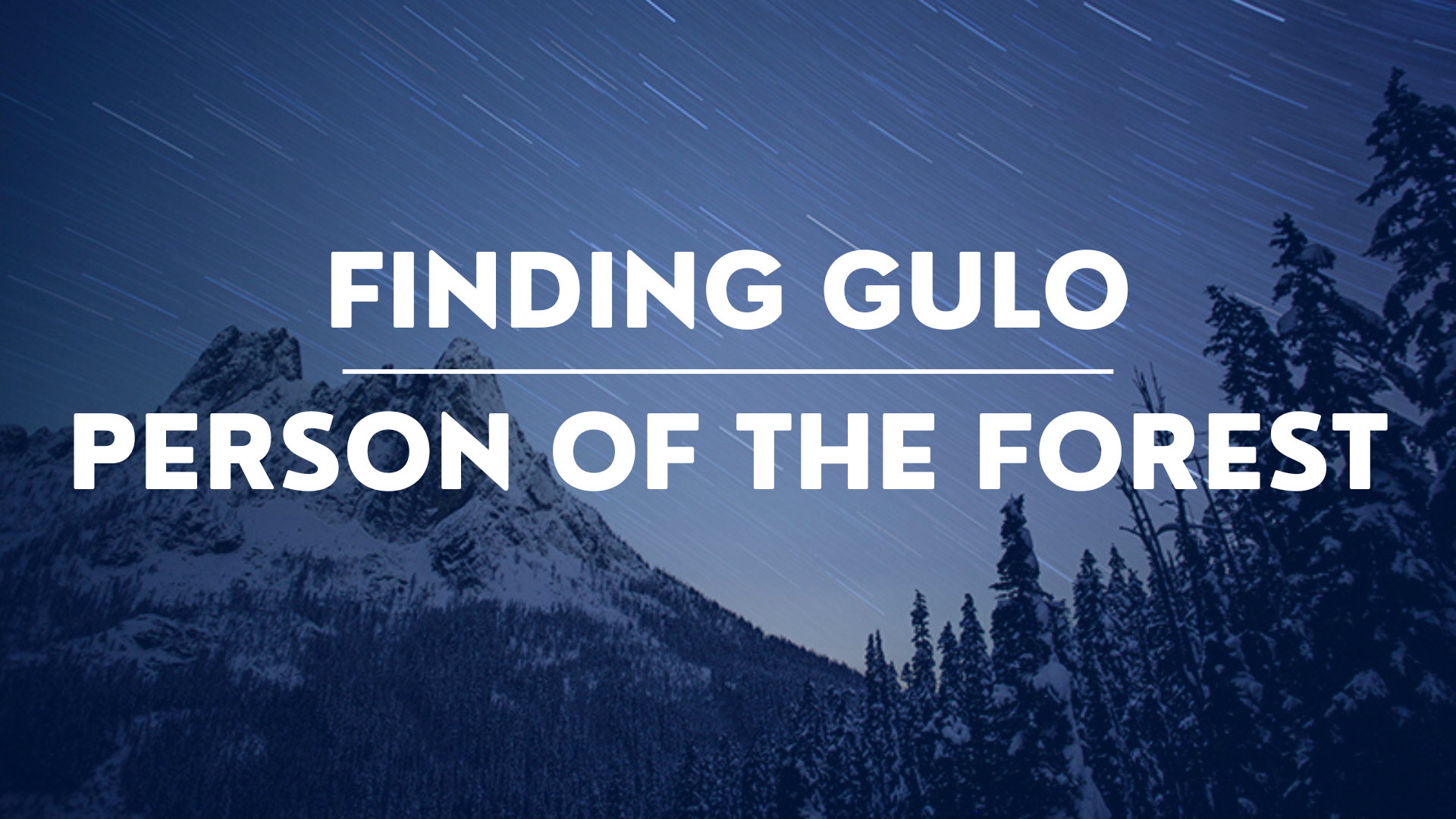 a photo of the cascade mountains at dusk