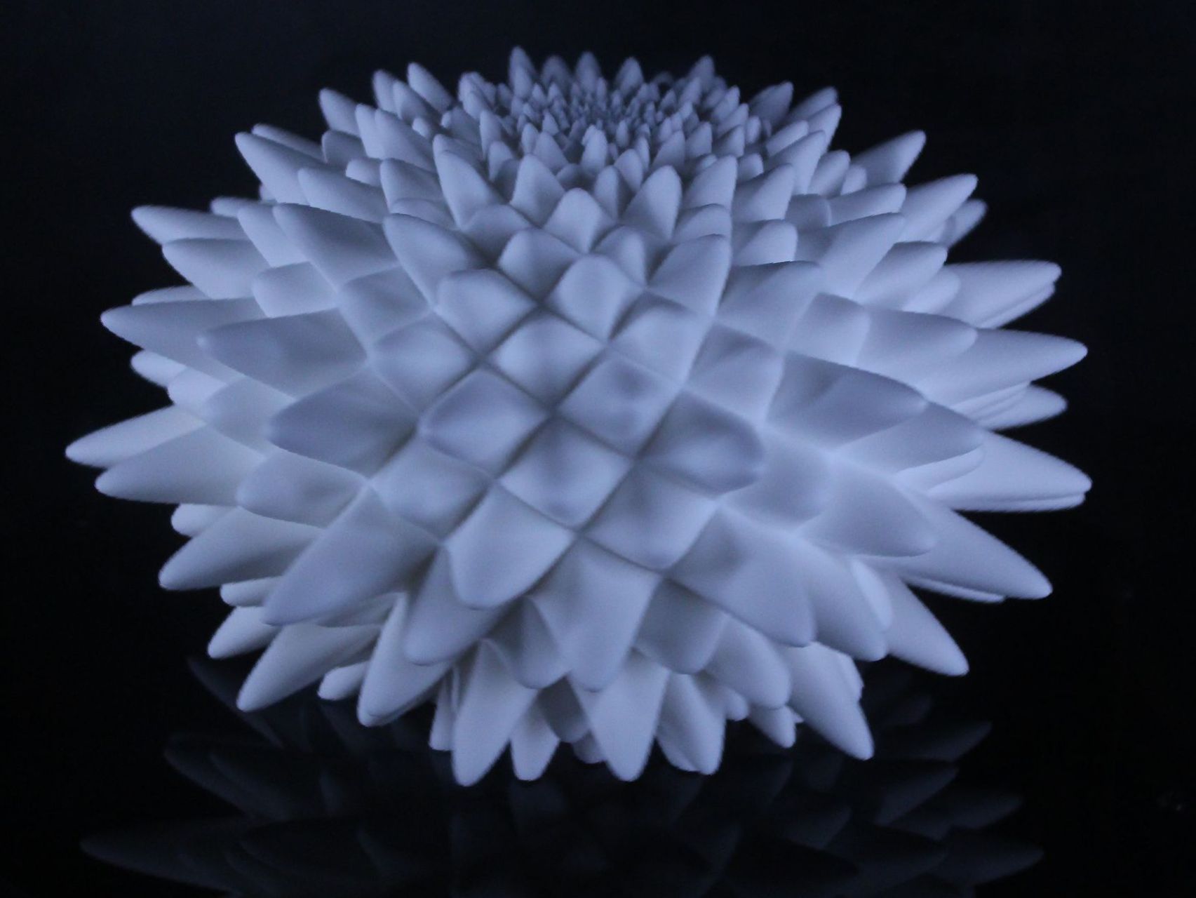 The Bloom exhibit at ScienceWorks