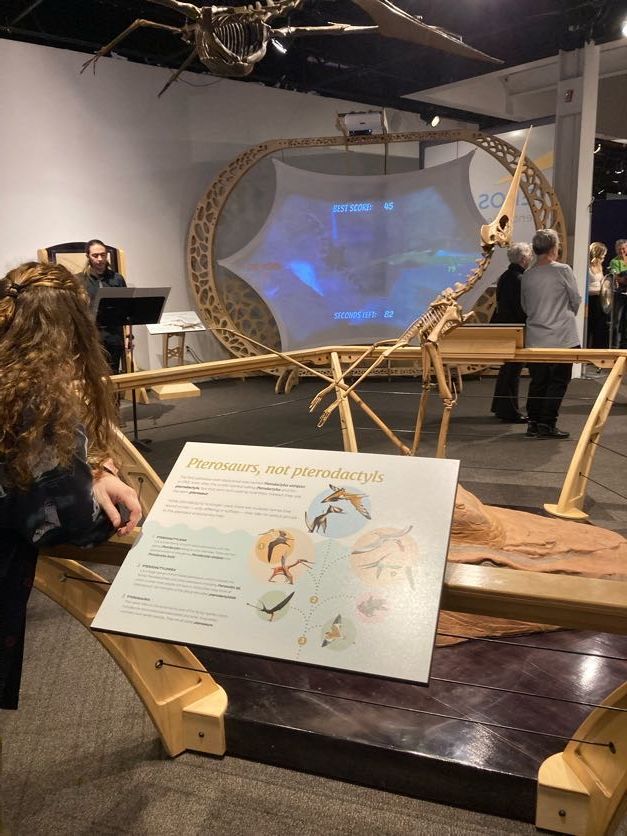 A photo of the Pterosaurs exhibit at ScienceWorks Museum in Ashland Oregon