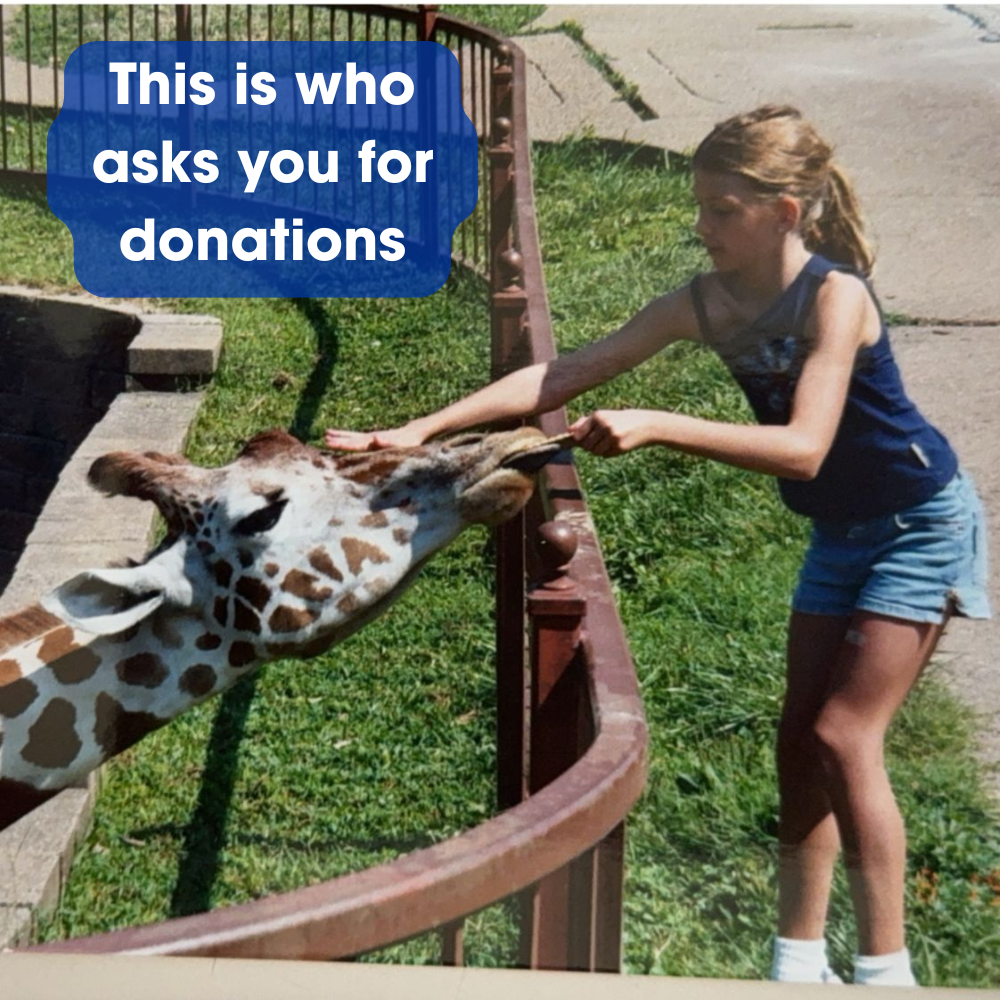 A girl reaches over a metal zoo fence to feed a giraffe, with a blue text box stating,