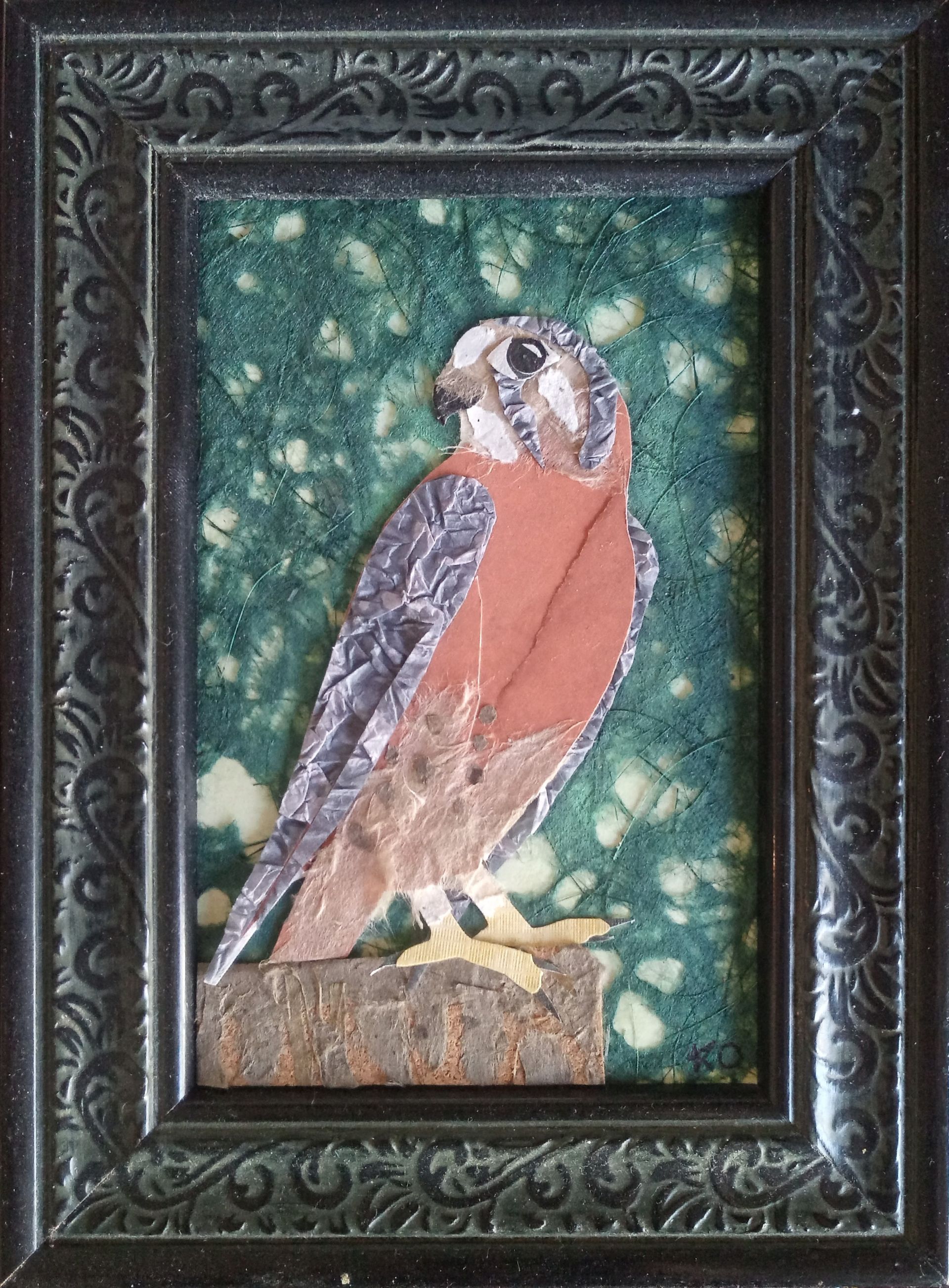 Kestrel by Kailey Ousley