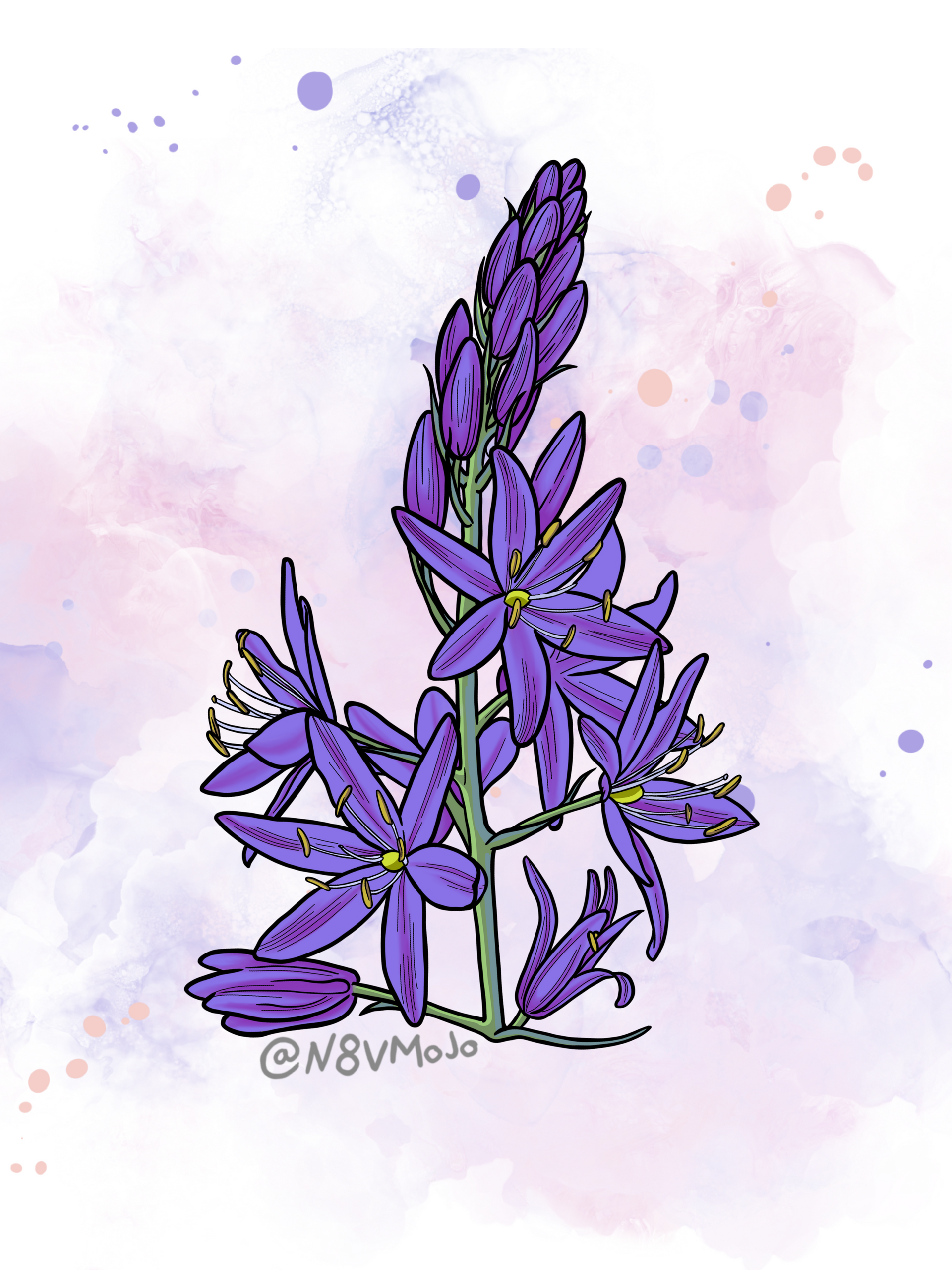 Raccoon with Blackberries illustration by Morgan Gaines