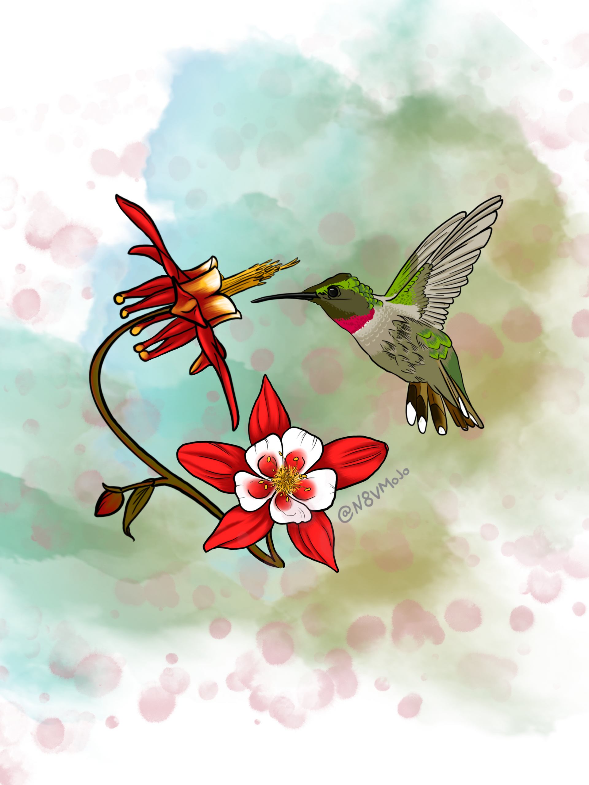 Hummingbird with Columbine Flowers illustration by Morgan Gaines