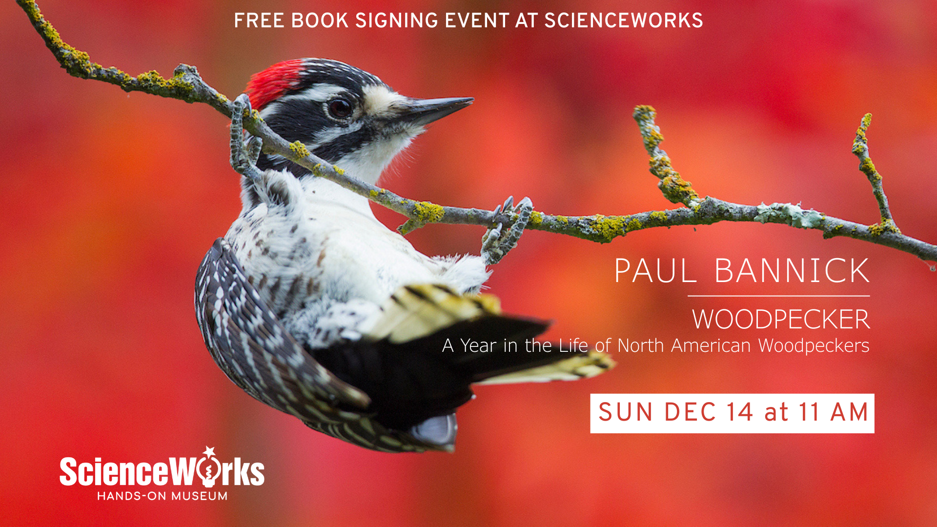 Book signing at ScienceWorks: Paul Bannick, author of 