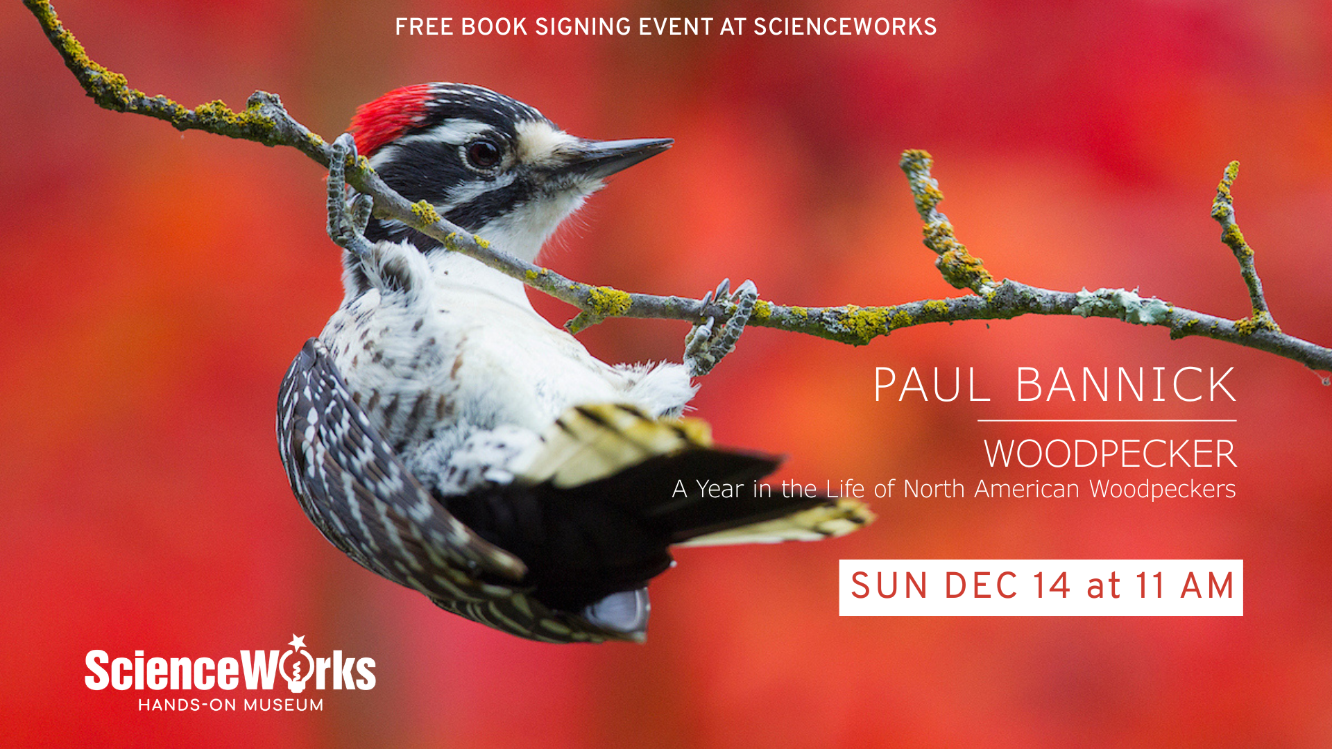 Book signing at ScienceWorks: Paul Bannick, author of