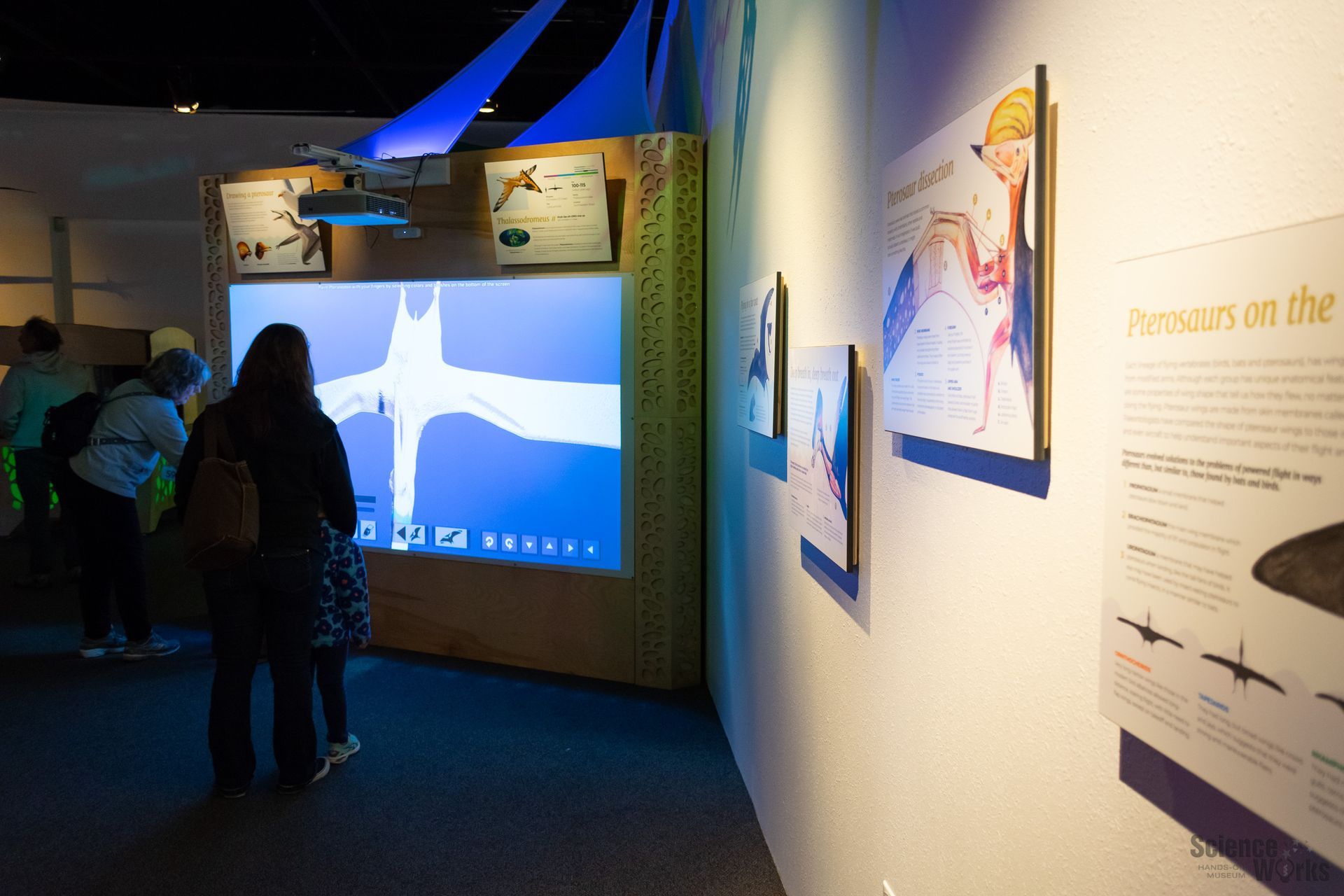 A photo of the Pterosaurs exhibit at ScienceWorks Museum in Ashland Oregon