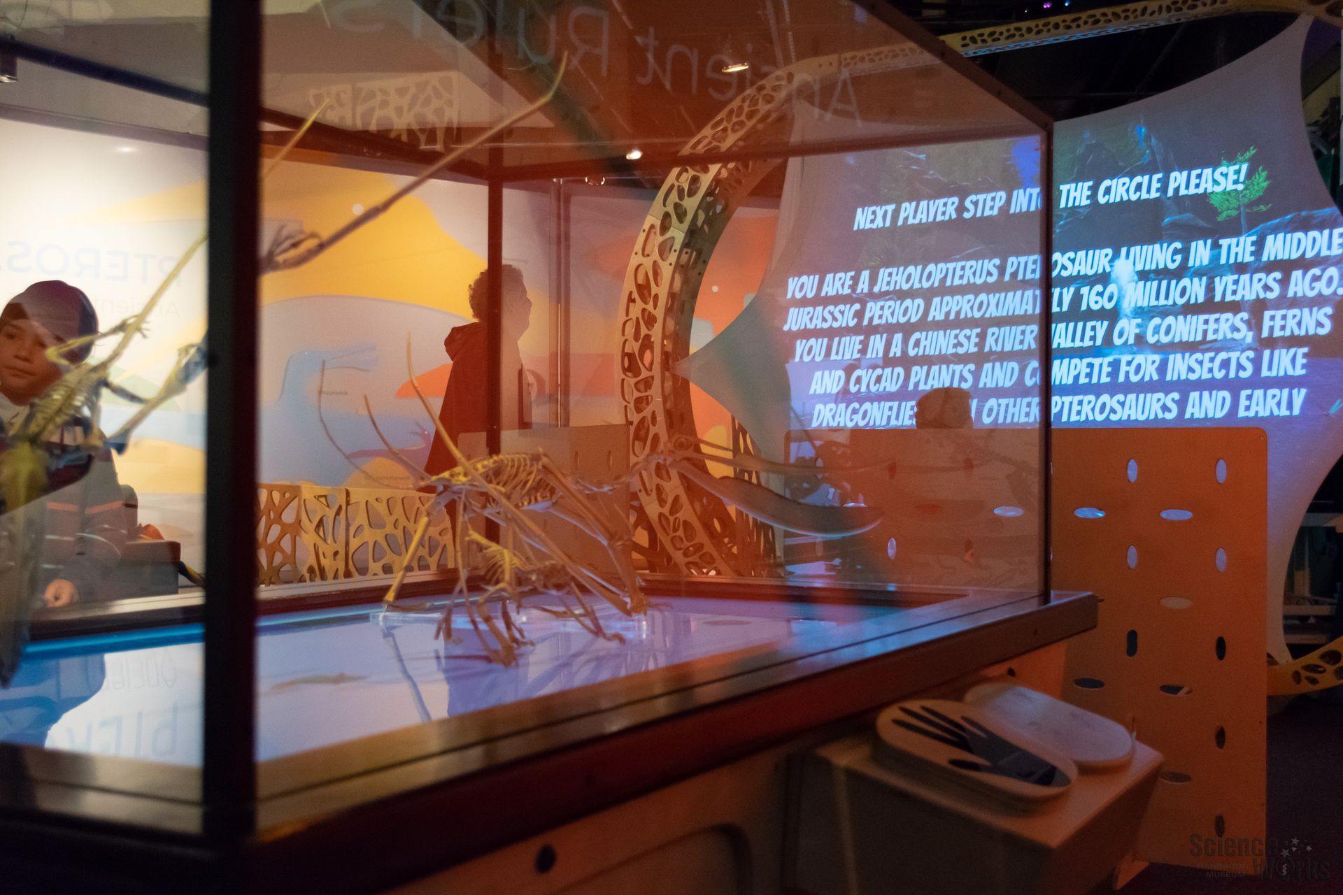 A photo of the Pterosaurs exhibit at ScienceWorks Museum in Ashland Oregon