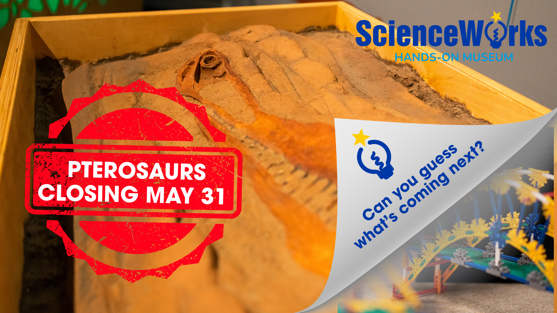 Dinosaur exhibit sign reading “Pterosaurs closing May 31” with ScienceWorks branding and blue text saying “can you guess what's coming next?