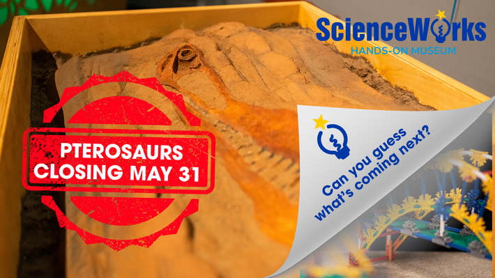 Dinosaur exhibit sign reading “Pterosaurs closing May 31” with ScienceWorks branding and blue text saying “can you guess what's coming next?