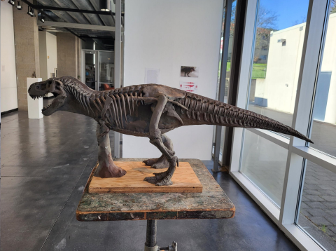 Drew Hogan, T-Recorche, Clay Sculpture