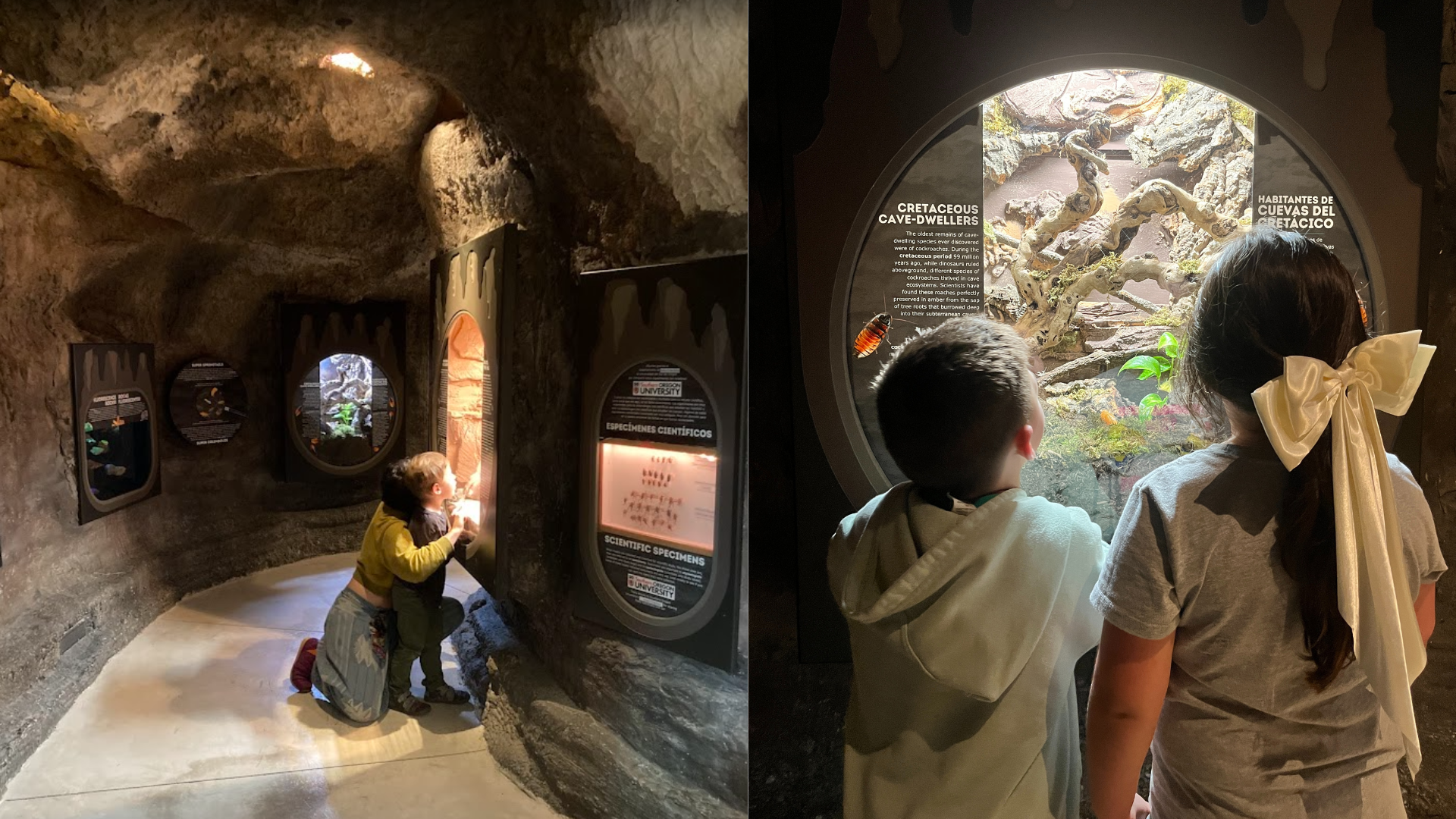 Three children and one adult looking into windows in the ScienceWorks Subterranean Science cave exhibit. The parent kneels.