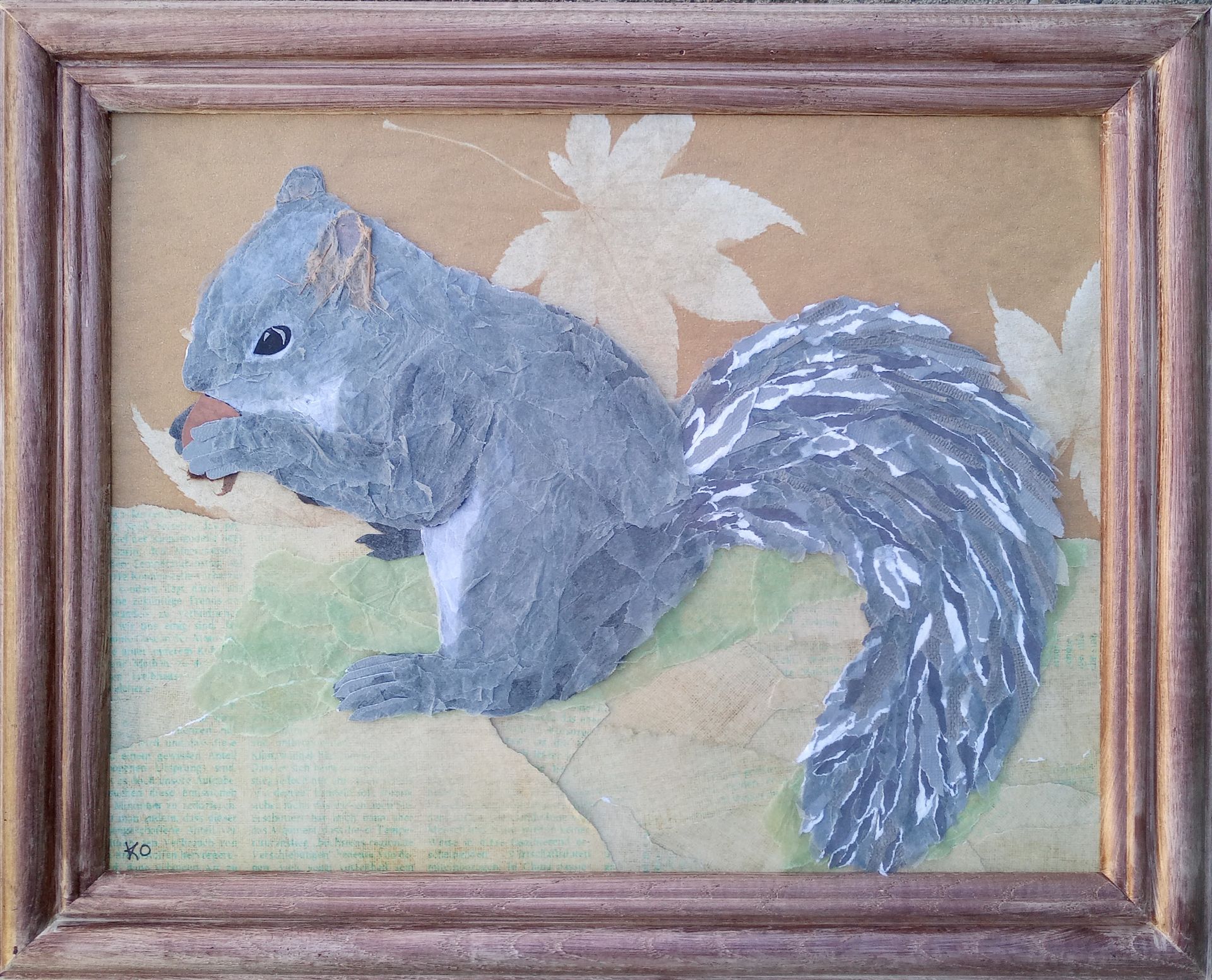 Western Grey Squirrel by Kailey Ousley