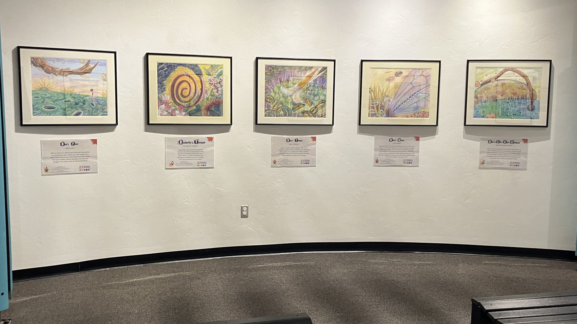 Five framed colorful artworks on a white wall; each has a label. The wall curves. Shoshana Dubiner exhibit.