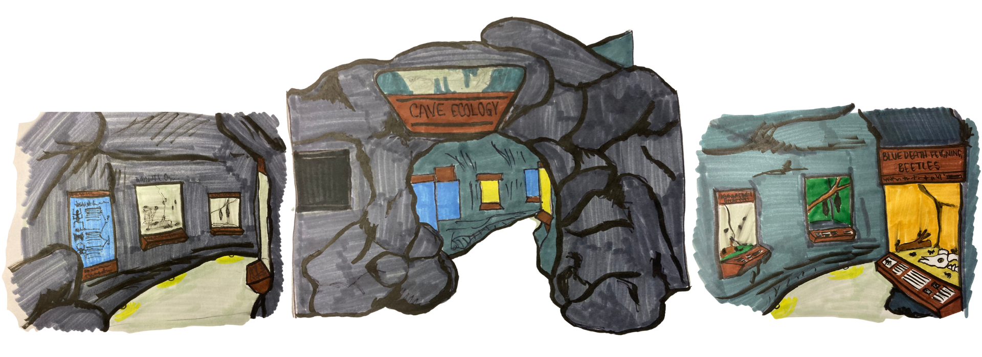 design sketches for upcoming cave exhibit