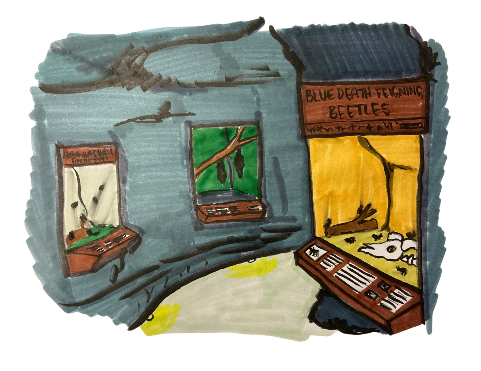 Sketch of 3 potential displays inside proposed cave exhibit at ScienceWorks.