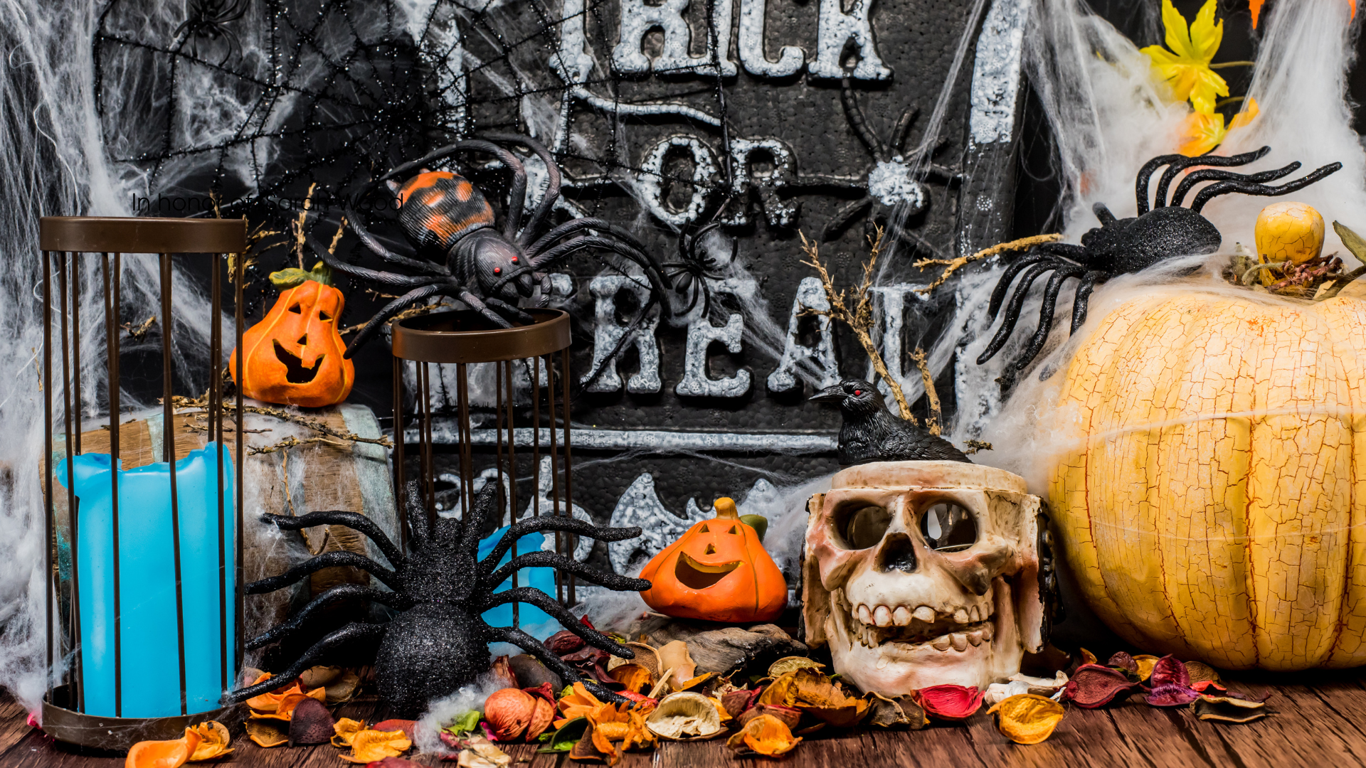 A small tableau of Halloween decorations including pumpkins, spiders, webs, and a skeleton