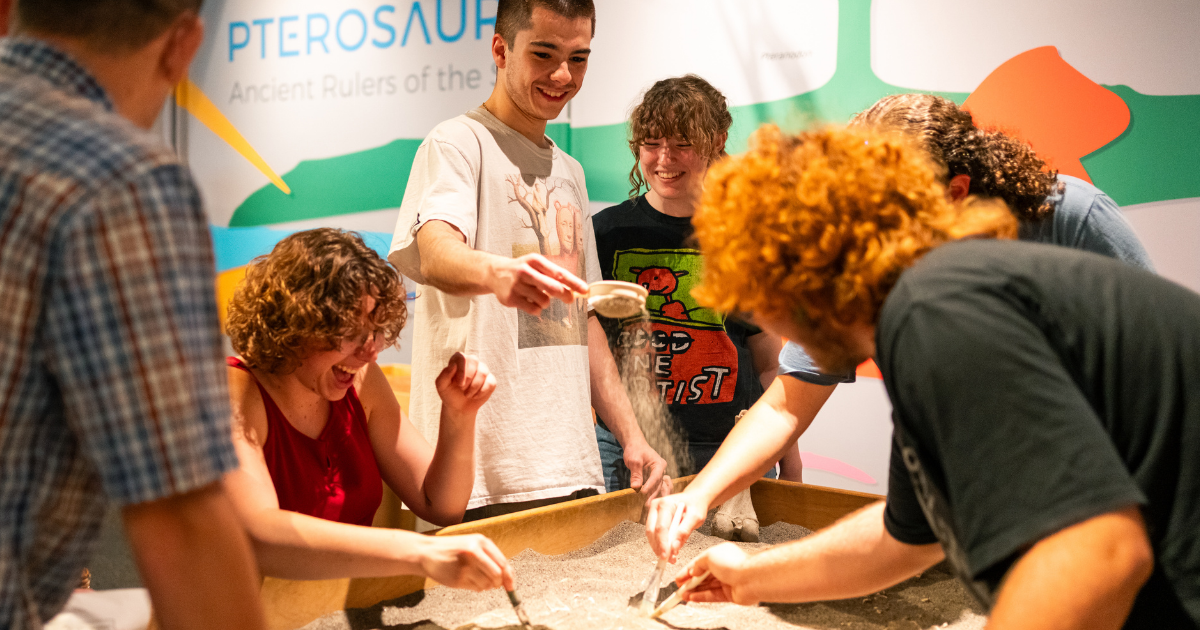 several young adults explore the fossil dig table at the paleoart exhibit at ScienceWorks